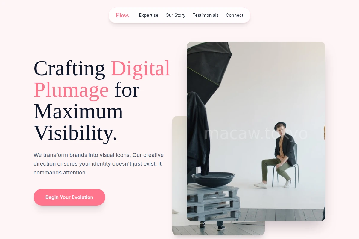 Flow Creative Direction