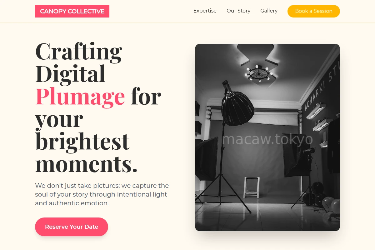 Prism Photography Studio