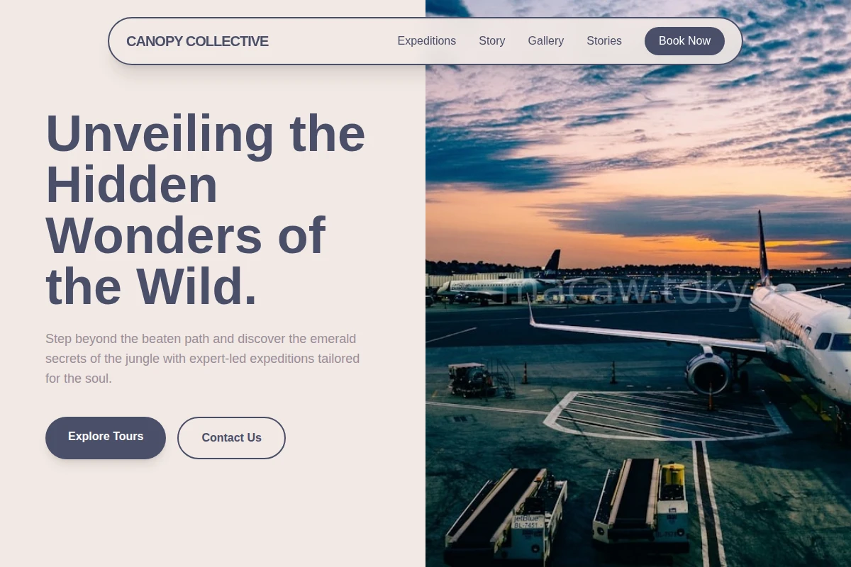 Jungle Travel Agency